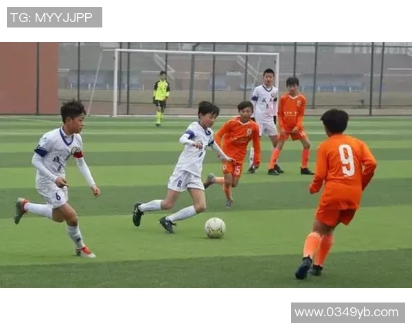 大连与富力对决分析：战术布局与球员表现的全面解读